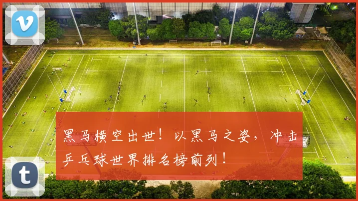 黑马横空出世！以黑马之姿，冲击乒乓球世界排名榜前列！