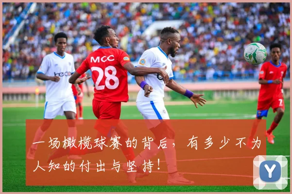 一场橄榄球赛的背后，有多少不为人知的付出与坚持！